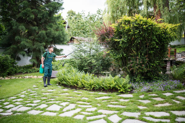 Best Affordable Pest Control Services  in Bay Shore, NY