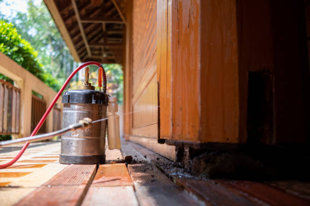 Best Pest Control for Restaurants  in Bay Shore, NY